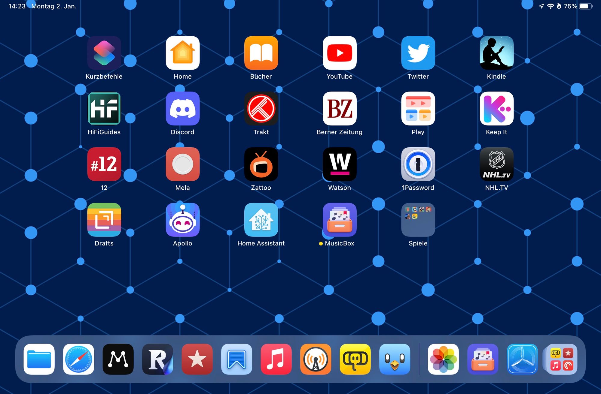 Screenshot of the iPad Mini Homescreen