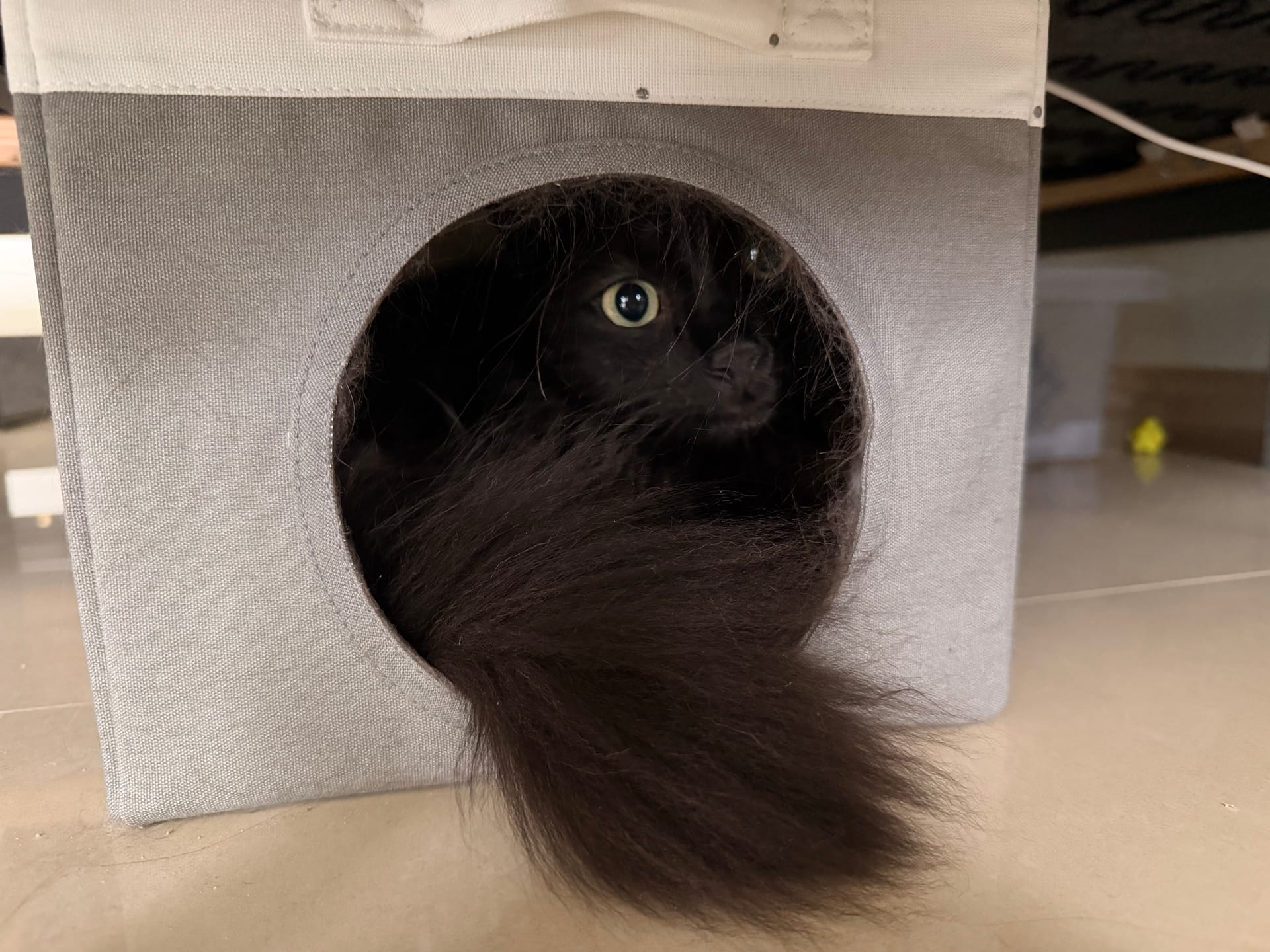 N8n Integration v2 Test